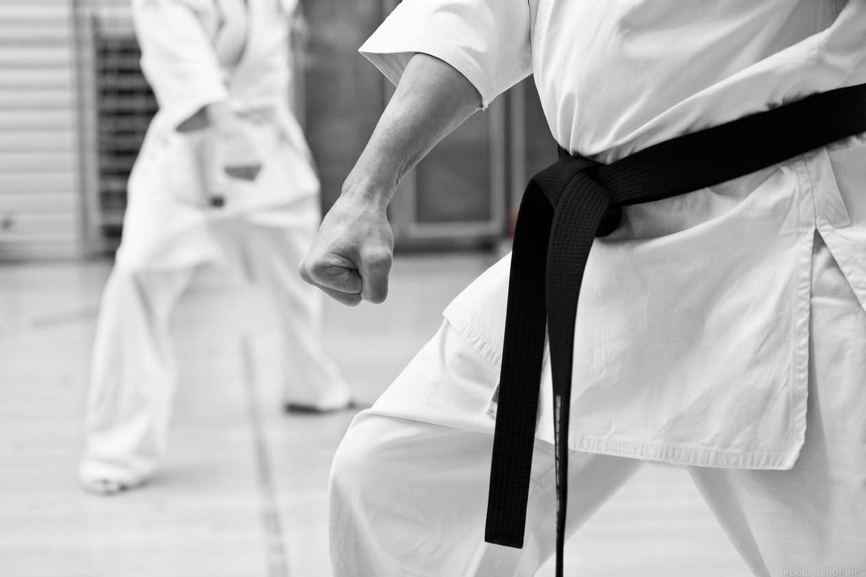 Hero image of a dojo class