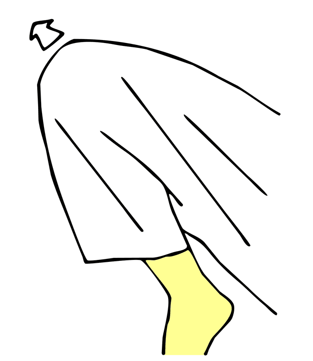 Hiza