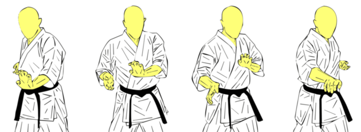 Chudan Haito Uchi — Kyokushin Karate