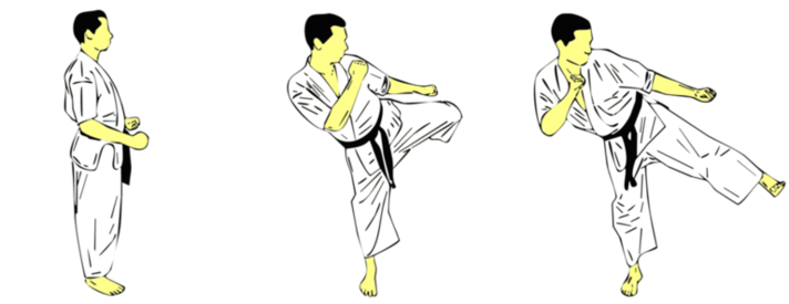 Chusoku Gedan Mawashi Geri — Kyokushin Karate