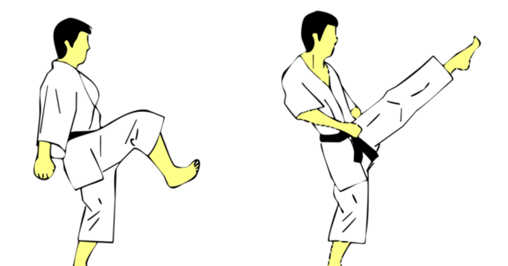 Chusoku Jodan Mae Geri — Kyokushin Karate