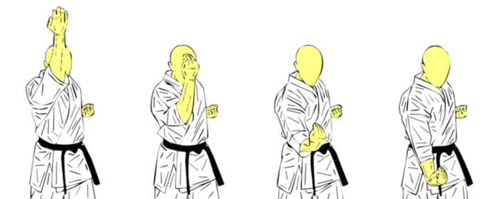 Gedan Koken Uke — Kyokushin Karate