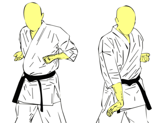 Gedan Shotei Uke — Kyokushin Karate