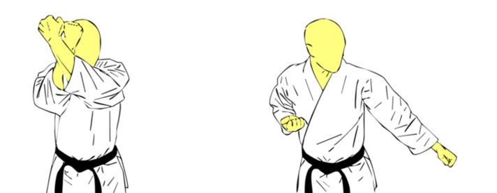 Gedan Tettsui Yoko Uchi — Kyokushin Karate