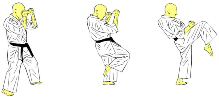 Hiza Ganmen Geri — Kyokushin Karate