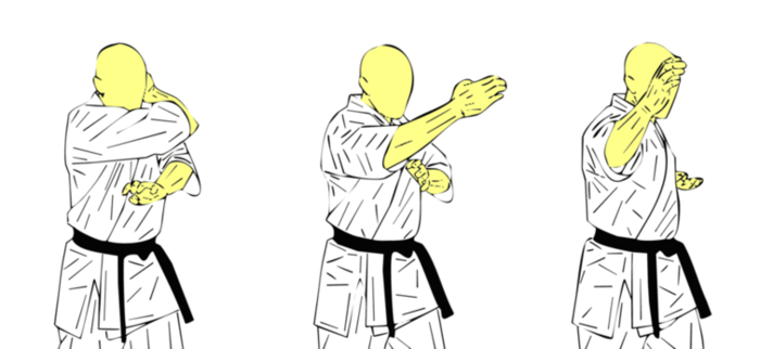 Jodan Haishu Uchi — Kyokushin Karate