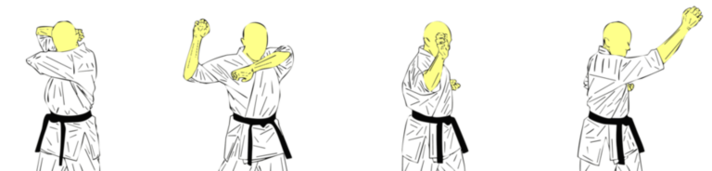 Mawashi Hiraken Uchi — Kyokushin Karate