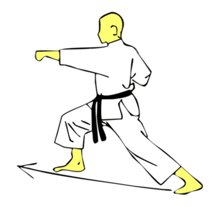 Seiken Chudan Gyaku Tsuki — Kyokushin Karate