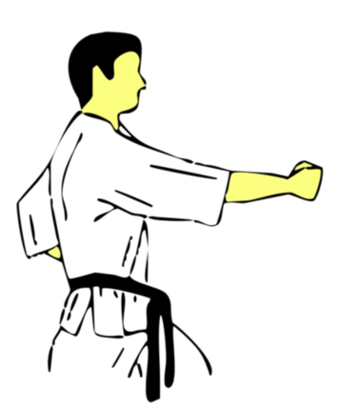 Seiken Chudan Tate Tsuki — Kyokushin Karate