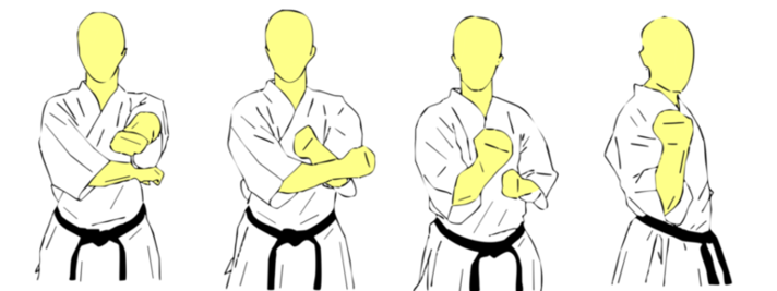 Seiken Chudan Uchi Uke — Kyokushin Karate
