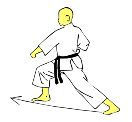 Seiken Gedan Gyaku Tsuki — Kyokushin Karate
