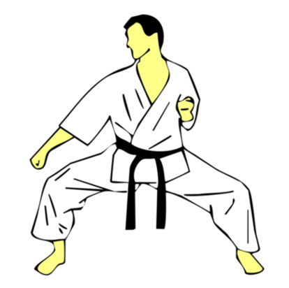 Seiken Gedan Jun Tsuki — Kyokushin Karate