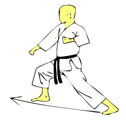 Seiken Gedan Oi Tsuki — Kyokushin Karate