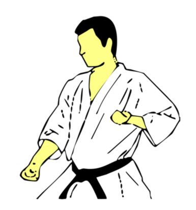 Seiken Gedan Tate Tsuki — Kyokushin Karate