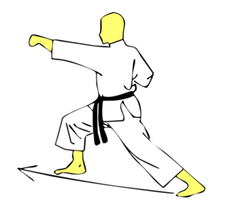 Seiken Jodan Gyaku Tsuki — Kyokushin Karate