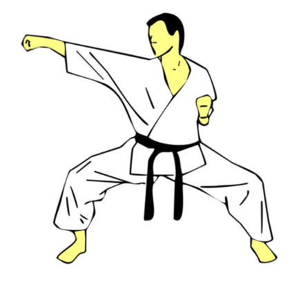 Seiken Jodan Jun Tsuki — Kyokushin Karate