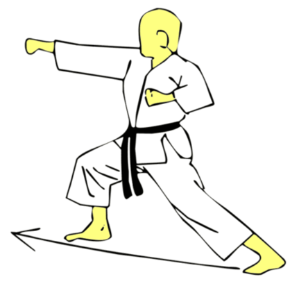 Seiken Jodan Oi Tsuki — Kyokushin Karate