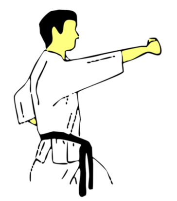 Seiken Jodan Tate Tsuki — Kyokushin Karate