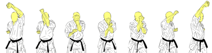 Seiken Jodan Uke — Kyokushin Karate