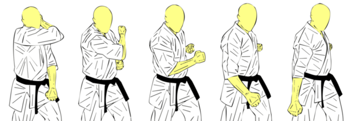 Seiken Mae Gedan Barai — Kyokushin Karate