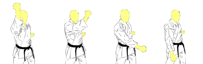 Seiken Mawashi Gedan Barai — Kyokushin Karate