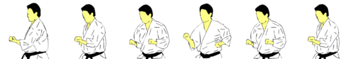 Seiken Shita Uchi — Kyokushin Karate