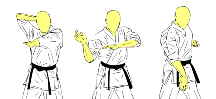 Shuto Hizo Uchi — Kyokushin Karate