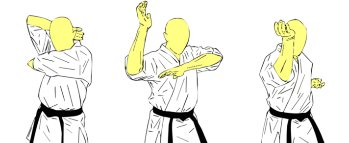 Shuto Ganmen Uchi — Kyokushin Karate
