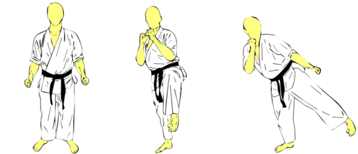 Sokuto Kansetsu Geri — Kyokushin Karate