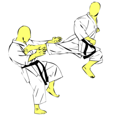 Tobi Ushiro Geri — Kyokushin Karate