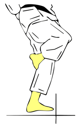 Tsuru Ashi Dachi — Kyokushin Karate