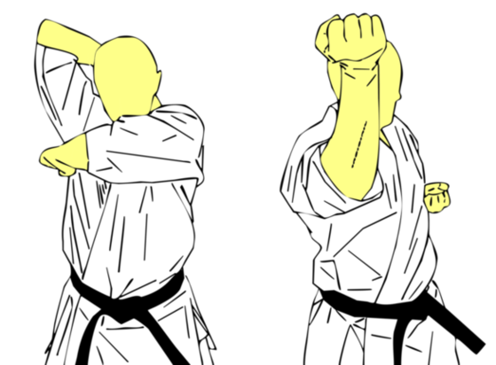 Uraken Oroshi Uchi — Kyokushin Karate