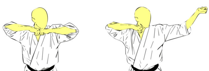 Uraken Sayu Ganmen Uchi — Kyokushin Karate