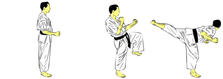 Ushiro Geri Chudan — Kyokushin Karate